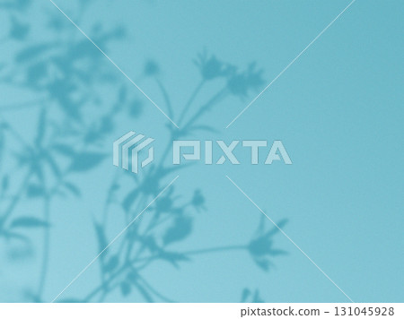 Soft floral shadows on a teal background. A beautiful display of flowers shadows is cast on a teal blue surface, with a gradient from light to dark. Natural and minimalist design. Botanical art. Soft floral shadows on a teal background. A beautiful display of flowers shadows is cast on a teal blue surface, with a gradient from light to dark. Natural and minimalist design. Botanical art. 131045928