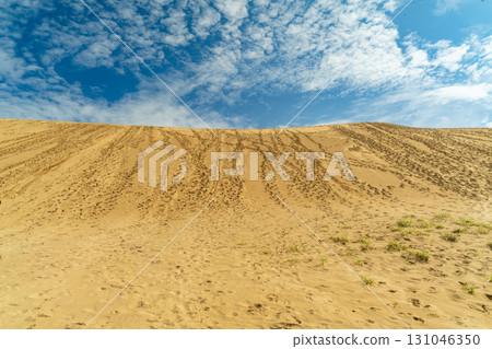 Tottori sand dunes 131046350