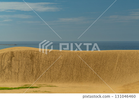 Tottori sand dunes 131046460