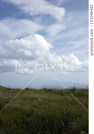 At the end of summer, the Japanese pampas grass sways in the wind under the blue sky of the Kirigamine Plateau. The clear air and expansive grassland give a hint of autumn. 131046482