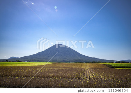 Scenery of Kutchan Town, Hokkaido 131046504