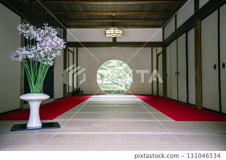 The harmony between the round window and flowers at Meigetsu-in Temple 131046534