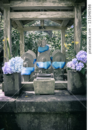Jizo and hydrangeas at Meigetsuin Temple Jizo and hydrangeas at Meigetsuin Temple 131046566