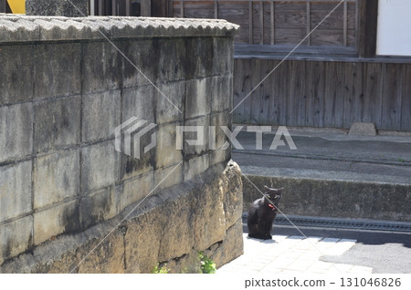 Alley: Black Cat (Onomichi City, Hiroshima Prefecture) 131046826