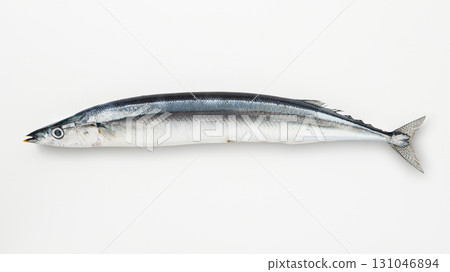 Raw saury 131046894