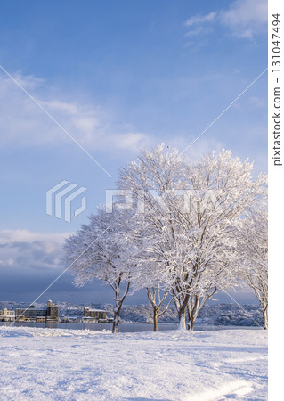 多哥湖周邊公園的雪景 131047494
