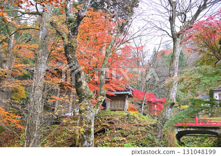 Autumn leaves at their best near the second torii gate of Haruna Shrine in late autumn Autumn leaves at their best near the second torii gate of Haruna Shrine in late autumn 131048199