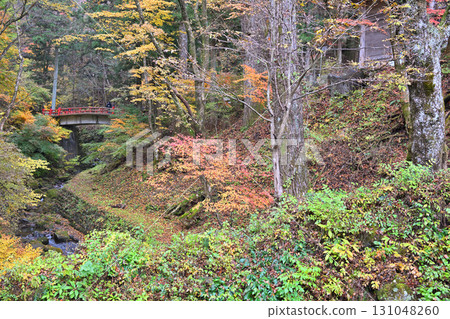 Autumn leaves along the stream near the second torii gate of Haruna Shrine in late autumn Autumn leaves along the stream near the second torii gate of Haruna Shrine in late autumn 131048260