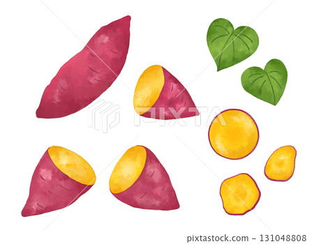 Watercolor sweet potato illustrations | Perfect for autumn flavors and appetites. Design materials for recipes and food events. 131048808