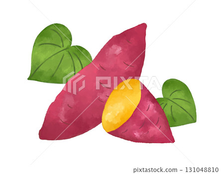 水彩紅薯插畫 | 完美契合秋天的美味與食慾。食譜和美食活動的設計素材。 131048810