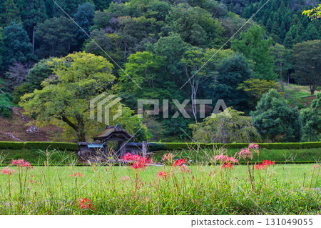 Autumn has come to the Asakura clan ruins Autumn has come to the Asakura clan ruins 131049055