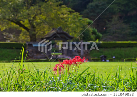 Autumn has come to the Asakura clan ruins 131049058