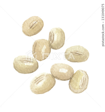 用水彩畫的白紅豆 用水彩畫的白紅豆 131049075