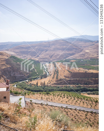[Jordan] A dry hilly region covered with green farmland and olive trees seen from a hill on the outskirts of the capital Amman 131049286