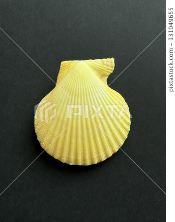 Shell specimen (Sea mussel) 131049655