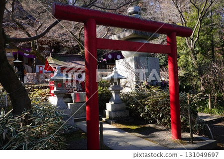Inari company Inari company 131049697