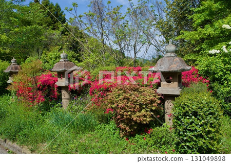 Ichibata Yakushi Temple grounds in spring 131049898