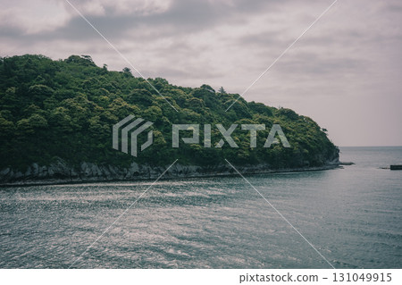 An island floating in the sea 131049915