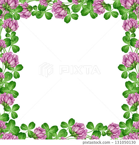 Red clover herb square frame watercolor illustration. Hand drawn Trifolium pratense wildflower flowers, leaves in elegant floral frame decor element on white background Red clover herb square frame watercolor illustration. Hand drawn Trifolium pratense wildflower flowers, leaves in elegant floral frame decor element on white background 131050130
