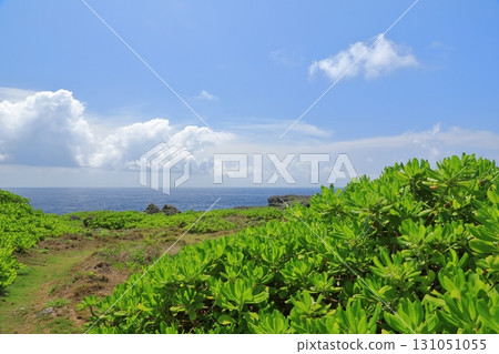 波照間島高崎的景色，俯瞰太平洋地平線 131051055