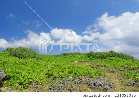 The beautiful scenery of Takanazaki on Hateruma Island, where the green grasslands stand out against the blue sky 131051059