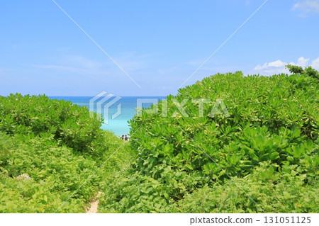 波照間島西濱美麗的海灘上可見的身影 131051125