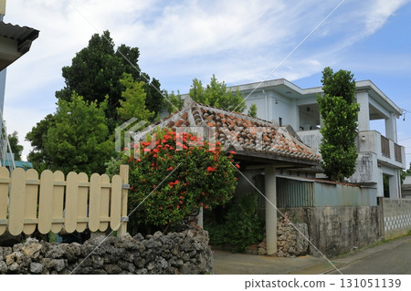 波照間島上木槿花盛開的村莊 131051139