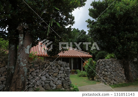 波照間島紅瓦屋頂的傳統民宅與盛開的芙蓉花 波照間島紅瓦屋頂的傳統民宅與盛開的芙蓉花 131051143