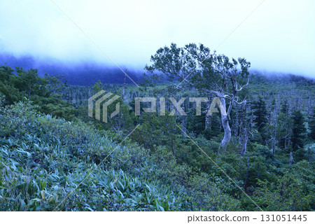 趙無極 趙無極 131051445