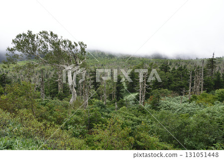 趙無極 趙無極 131051448