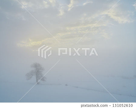 A lone tree stands in the snowy field of the Chikuma River filled with morning mist. 131052610