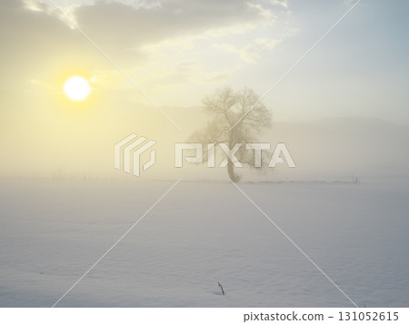 A lone tree stands in the snowy field of the Chikuma River filled with morning mist. 131052615