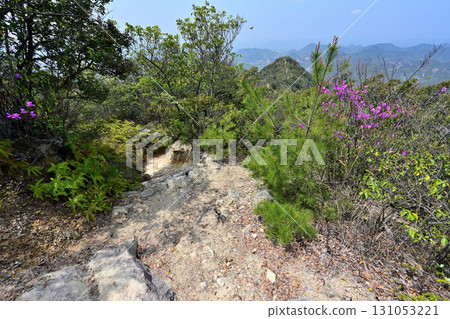 城牆景觀與播磨三草山城的景色,這裡是源平合戰的發祥地 城牆景觀與播磨三草山城的景色,這裡是源平合戰的發祥地 131053221