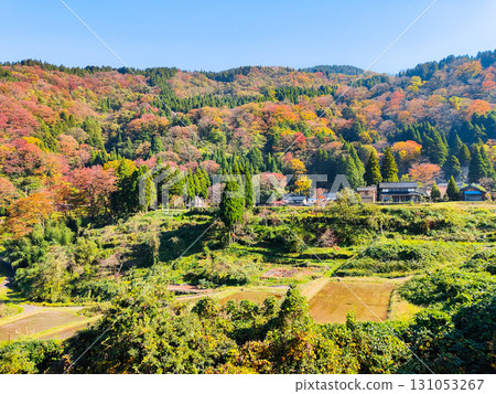 Country landscape in autumn Country landscape in autumn 131053267