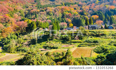 Country landscape in autumn 131053268