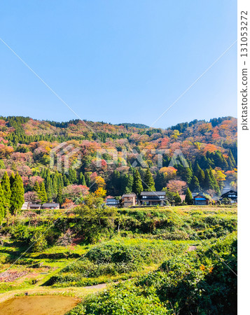 Country landscape in autumn 131053272