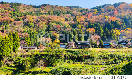 Country landscape in autumn Country landscape in autumn 131053274