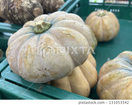 Close up of pale lobed pumpkins with green stems in a market crate Close up of pale lobed pumpkins with green stems in a market crate 131053342
