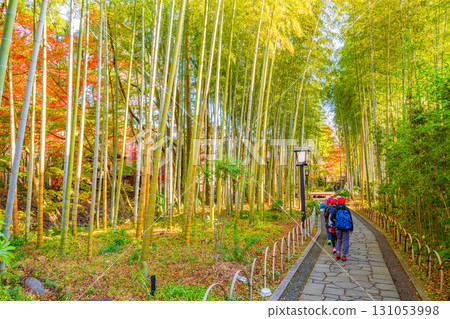 [靜岡縣] 修善寺溫泉竹林道 131053998