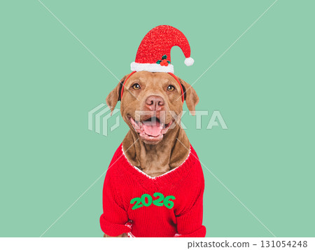Merry Christmas and Happy New Year. Cute dog 131054248