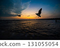Many seagulls fleeing from the cold weather in Siberia come to Bang Pu, Samut Prakan Province, Thailand, from December to the end of March every year. 131055054
