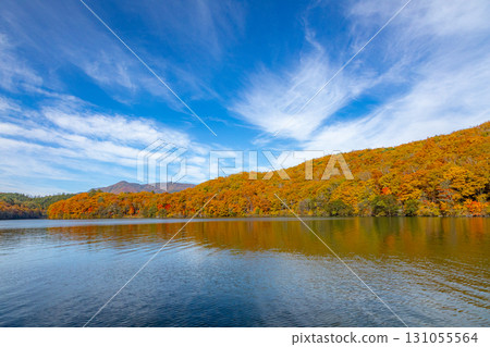 Shiga Kogen Biwa Pond dyed in autumn leaves Shiga Kogen Biwa Pond dyed in autumn leaves 131055564