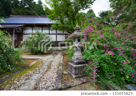 三葉草季節的瑞源寺 131055623