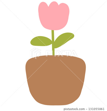 Pink tulips in a pot Pink tulips in a pot 131055861