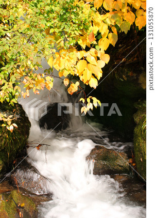 信州橫屋溫泉木戶口神社旁的瀑布 131055870