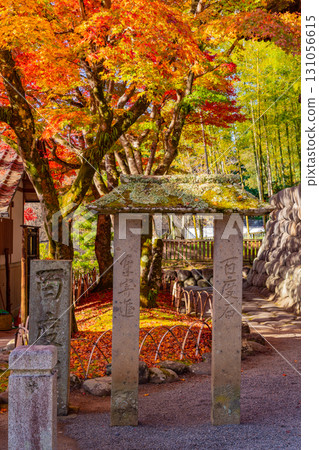 [Shizuoka Prefecture] Shuzenji Onsen and Shuzenji Temple at the peak of autumn foliage 131056615