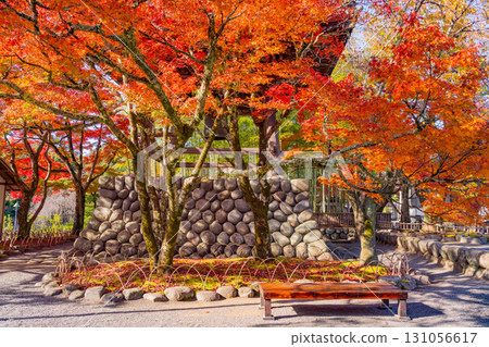 [Shizuoka Prefecture] Shuzenji Onsen and Shuzenji Temple at the peak of autumn foliage 131056617