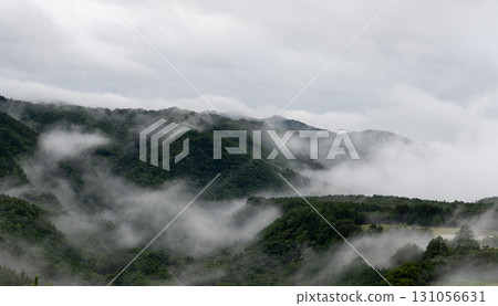 Fog wrapped in fog 131056631