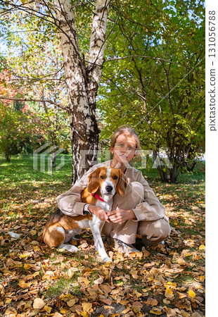 Girl with her beagle dog in autumnal park. Pet friend on walk among fallen leaves. Girl with her beagle dog in autumnal park. Pet friend on walk among fallen leaves. 131056788