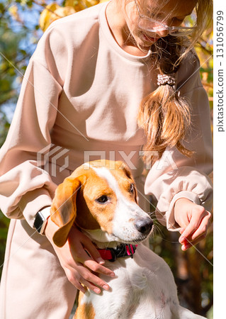 Girl petting beagle dog outdoors on sunny autumn day. 131056799
